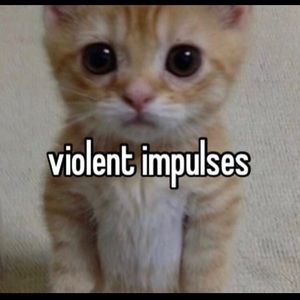 Meet your Posher, Max